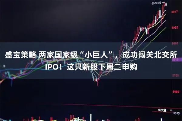 盛宝策略 两家国家级“小巨人”，成功闯关北交所IPO！这只新股下周二申购