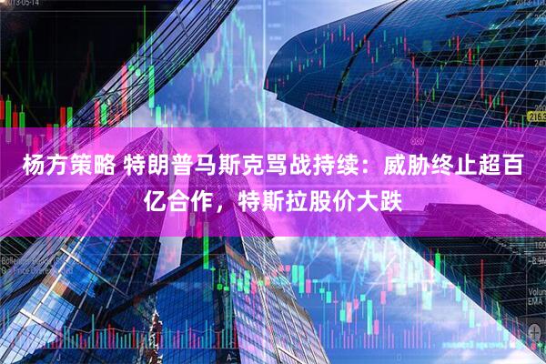 杨方策略 特朗普马斯克骂战持续：威胁终止超百亿合作，特斯拉股价大跌
