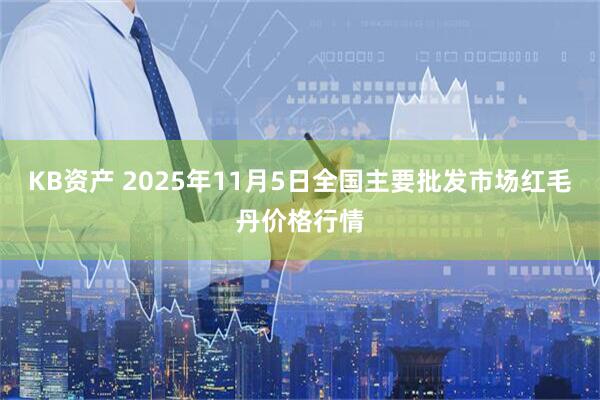 KB资产 2025年11月5日全国主要批发市场红毛丹价格行情