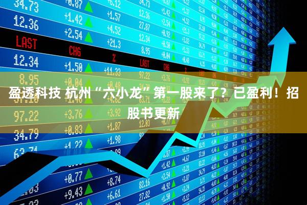 盈透科技 杭州“六小龙”第一股来了？已盈利！招股书更新