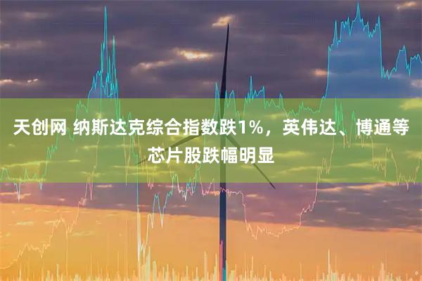 天创网 纳斯达克综合指数跌1%，英伟达、博通等芯片股跌幅明显