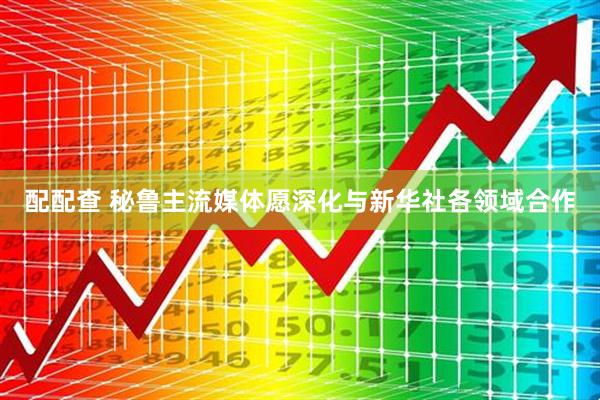 配配查 秘鲁主流媒体愿深化与新华社各领域合作