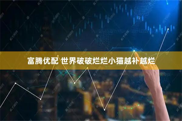 富腾优配 世界破破烂烂小猫越补越烂