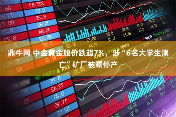 鼎牛网 中金黄金股价跌超7%，涉“6名大学生溺亡”矿厂被曝停产