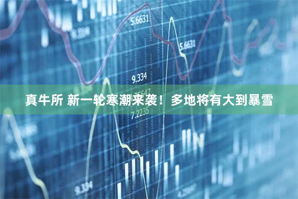 真牛所 新一轮寒潮来袭！多地将有大到暴雪